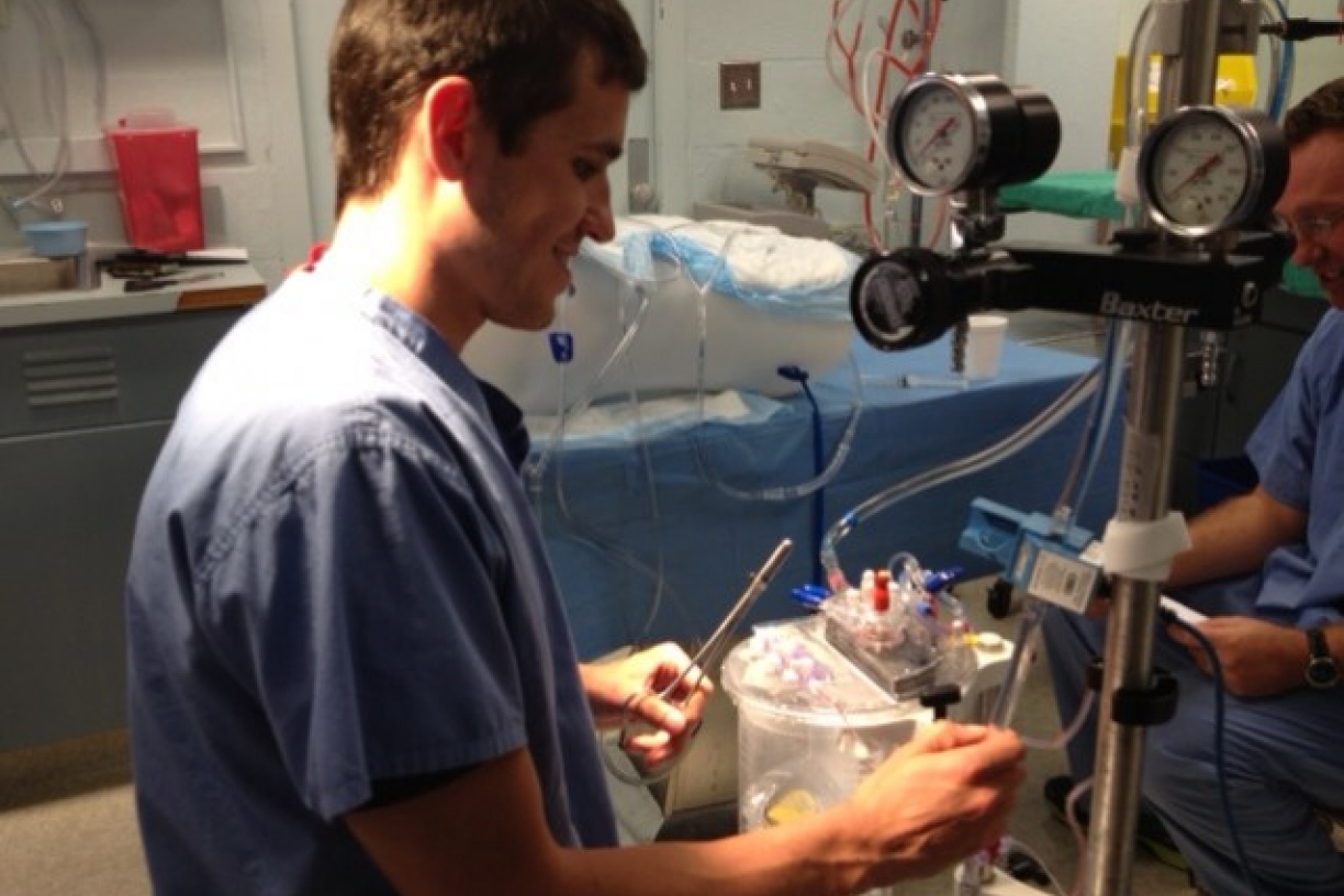 Welcome | Perfusion Program