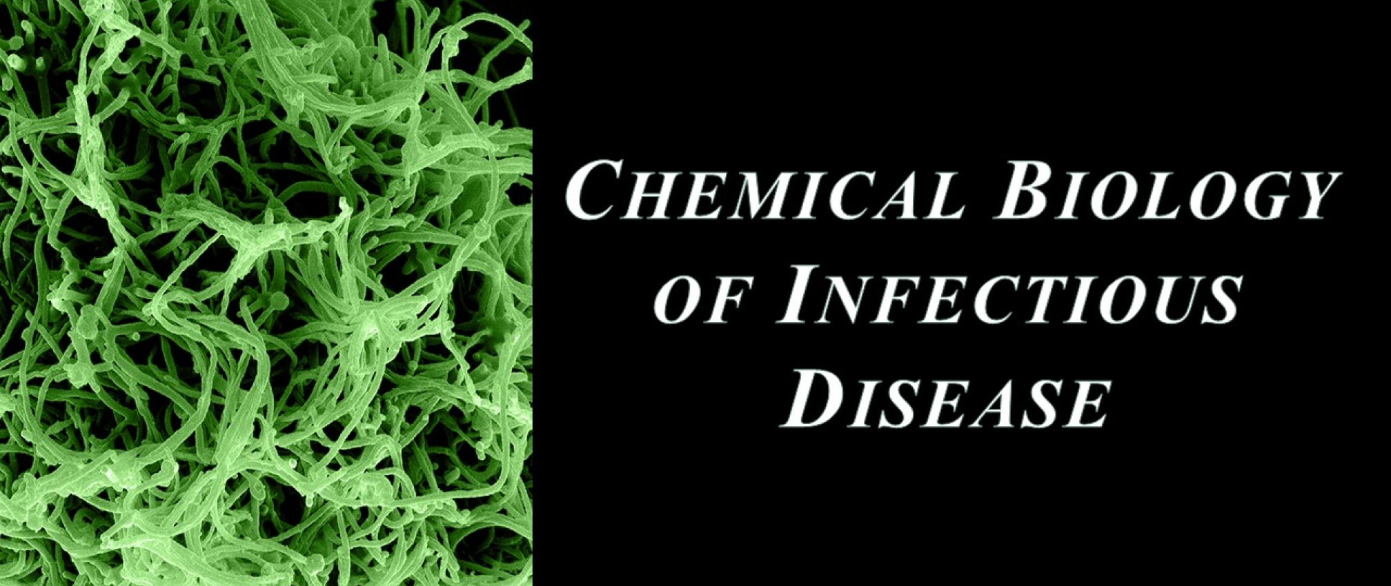 Chemical Biology of Infectious Disease | Pathology, Microbiology And