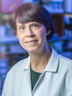 Sandra S. Zinkel, Ph.D., M.D.