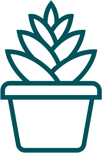 Icon Plant