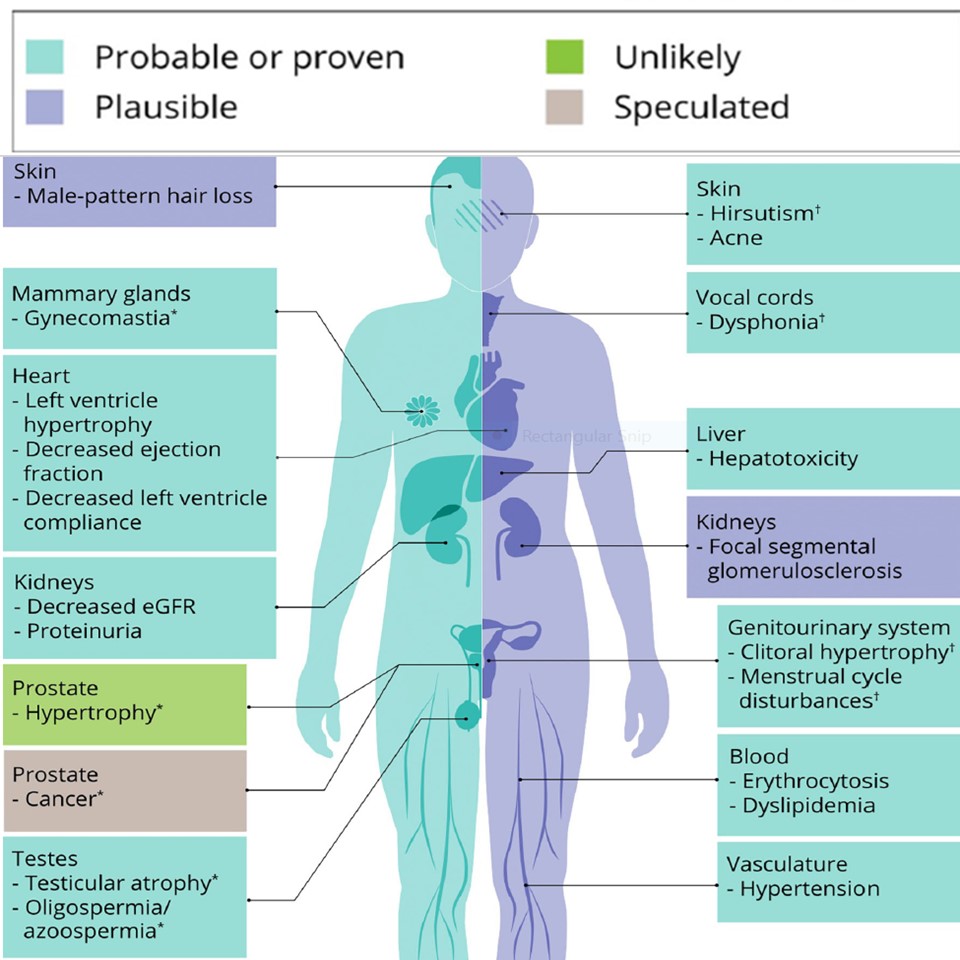 Side effects of anabolic androgenic steroids (reference 3)