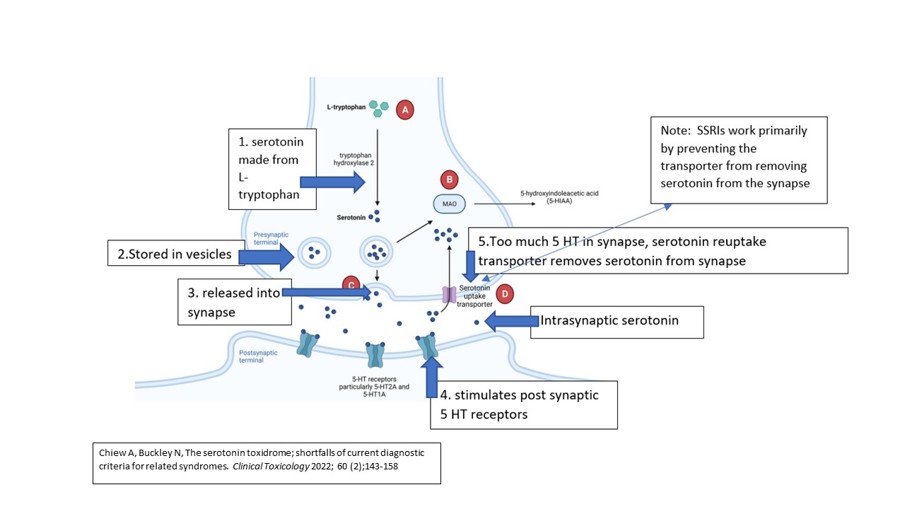 Serotonin Syndrome