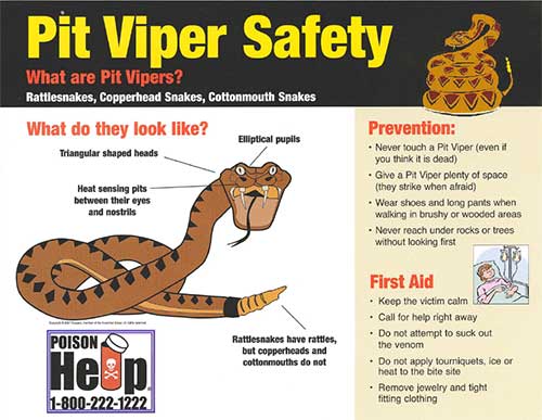 pit viper safety