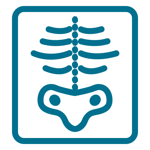 radiology-procedure