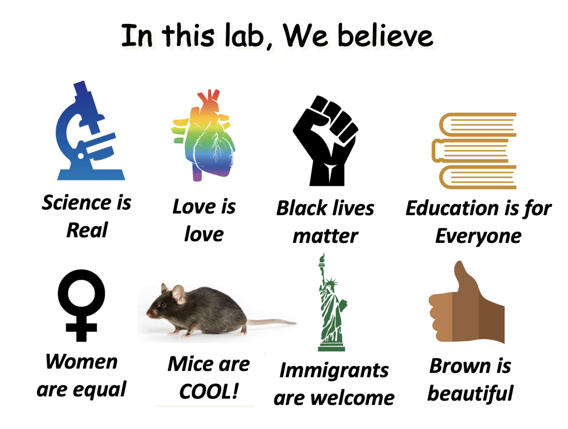 In this lab we believe