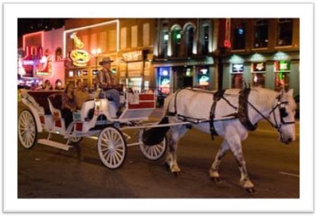 Horse drawn Carriage