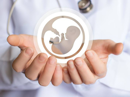 Oncofertility Program Development