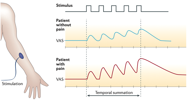 Temporal summation