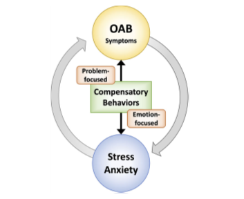 Conceptual model. OAB symptoms and emotional states 