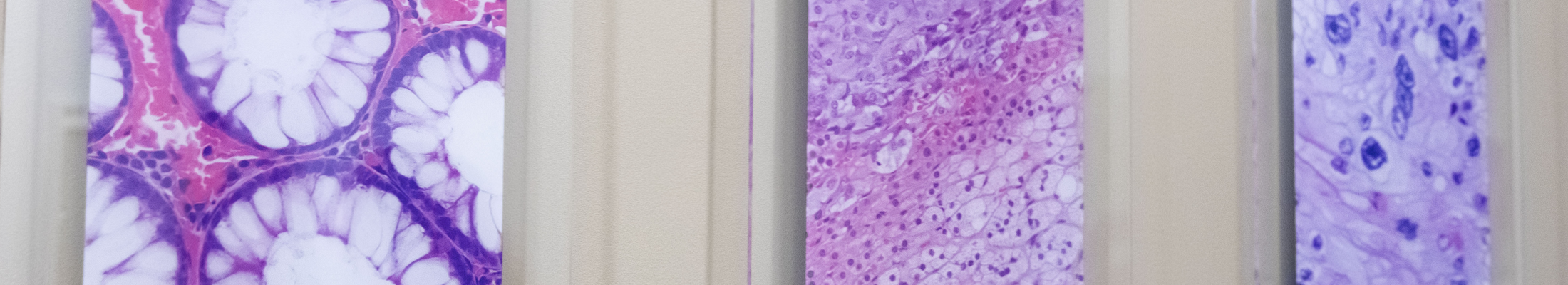 Pathologybanner