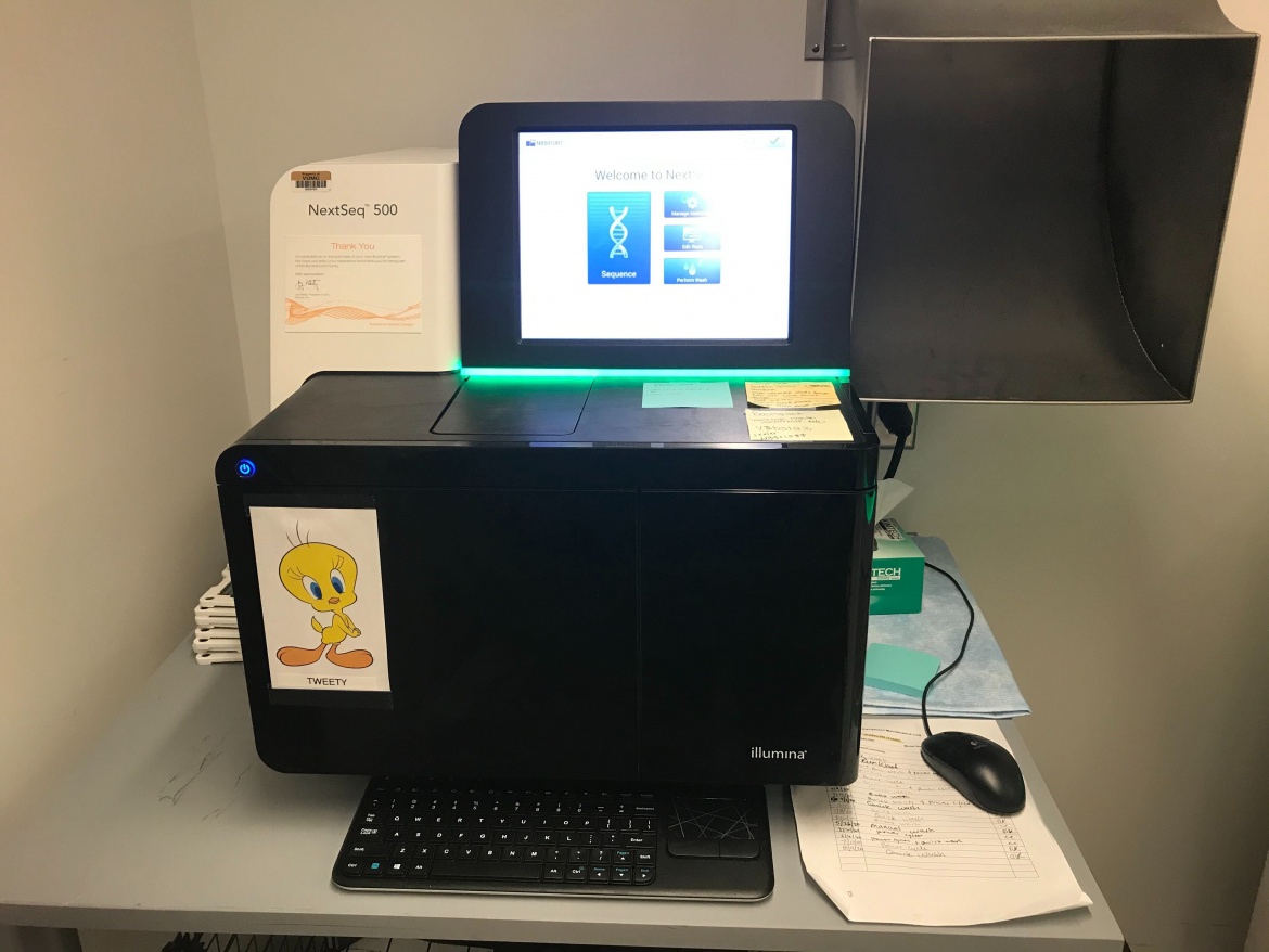 NextSeq 500