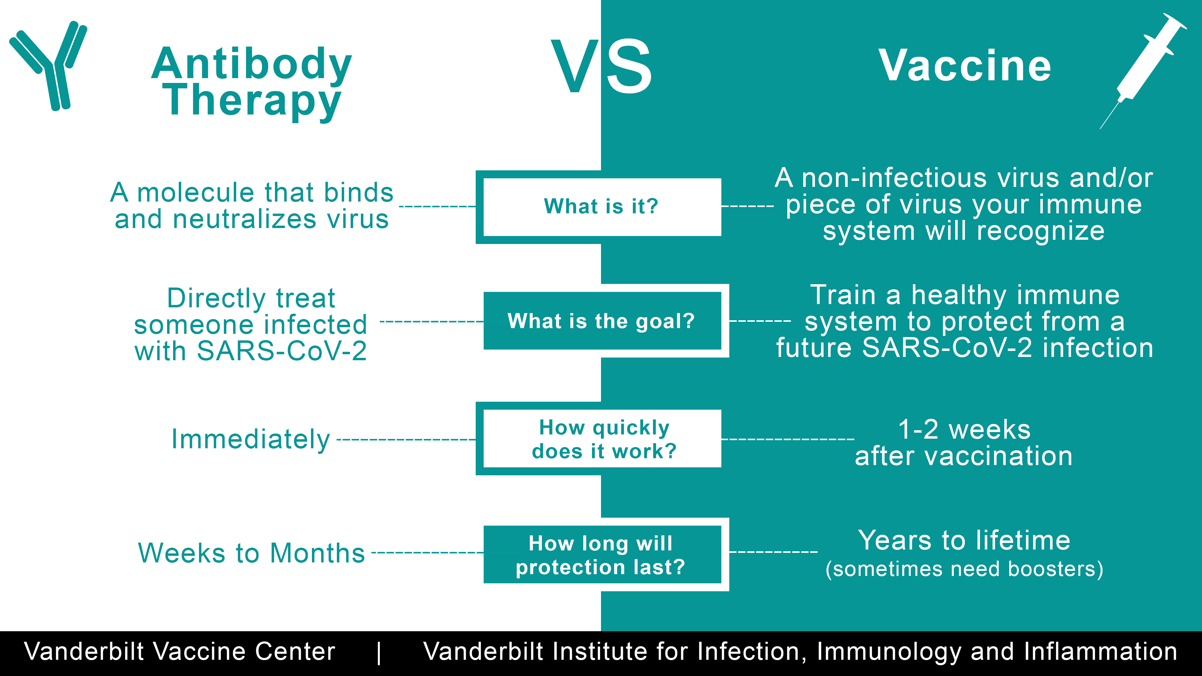 Antibodies and Vaccines as Drugs for COVID-19