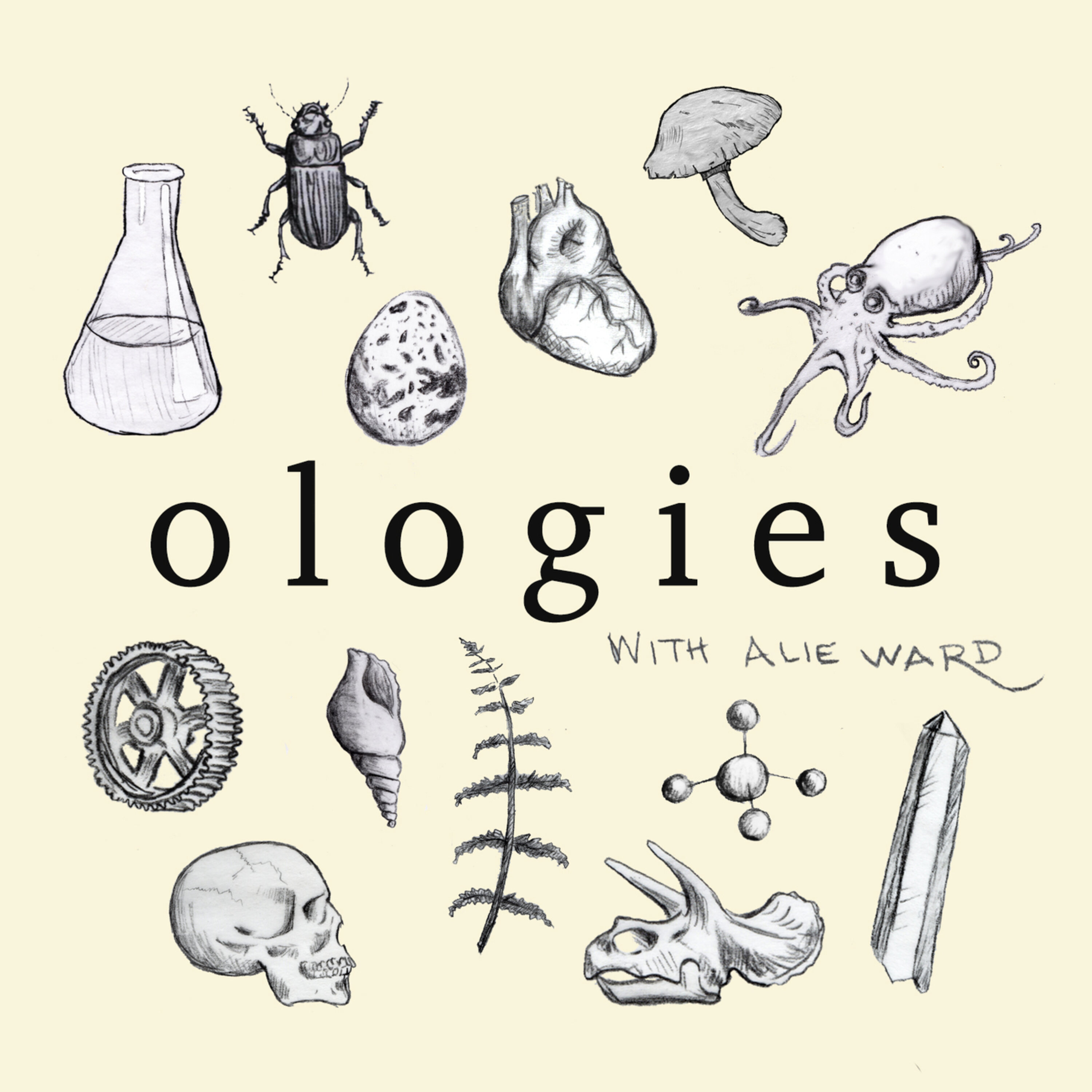 Ologies with Alie War‪d