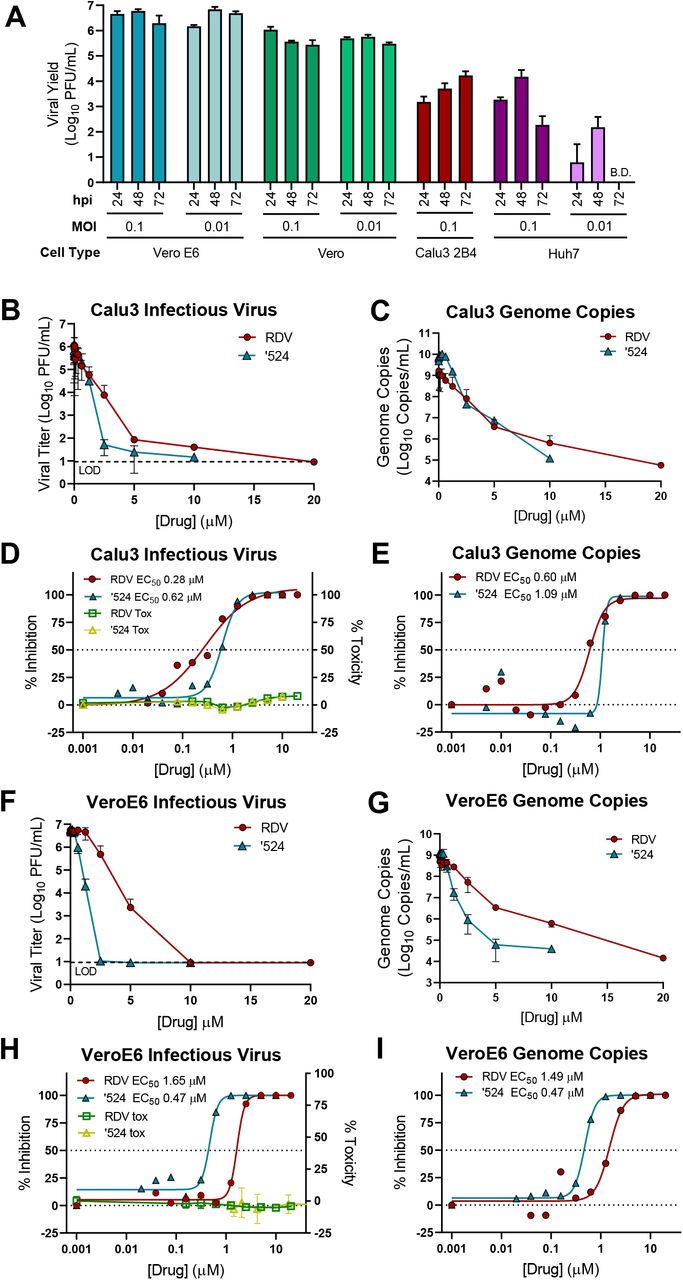 Remdesivir potently inhibits SARS-CoV-2 in human lung cells and chimeric SARS-CoV expressing the SARS-CoV-2 RNA polymerase in mice