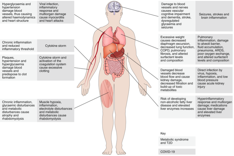 Fig. showing how metabolic syndromes and COVID intersect