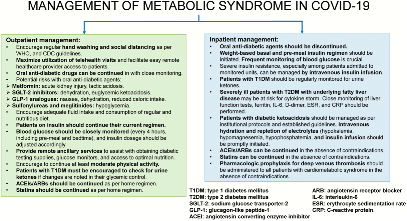 Fig. Strategies to manage metabolic syndromes in COVID-19
