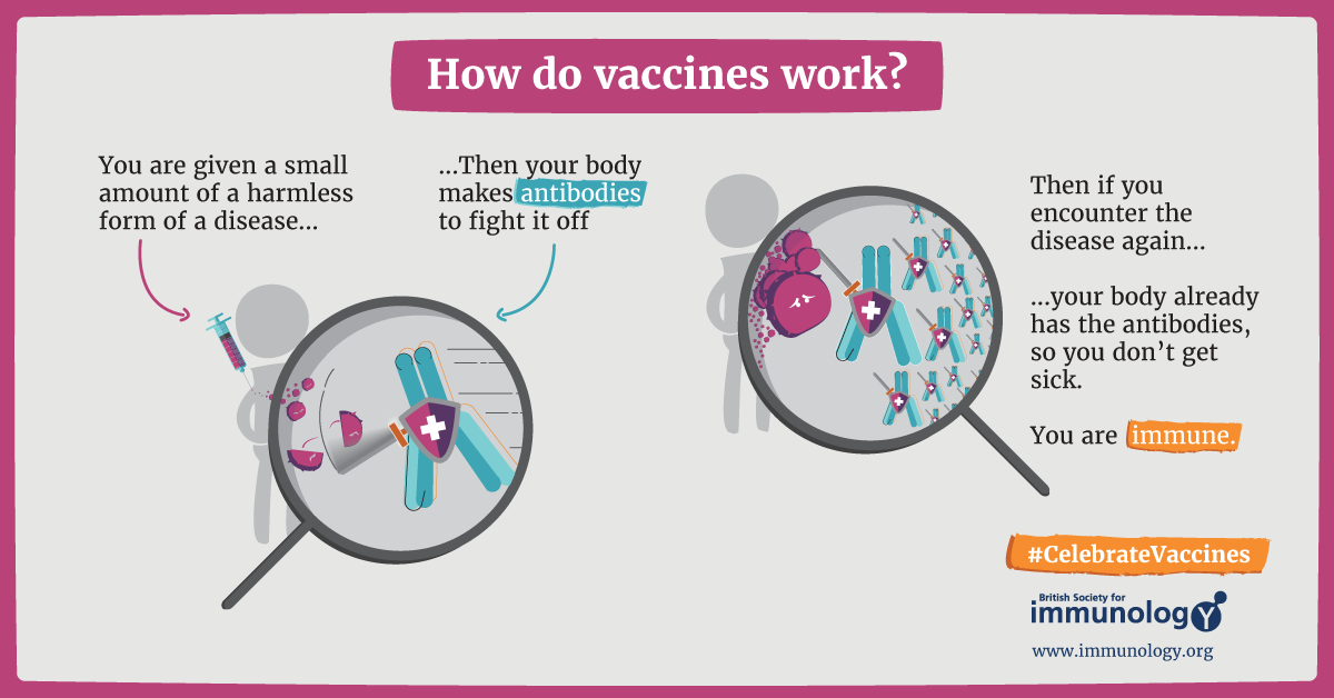 How do vaccines work?