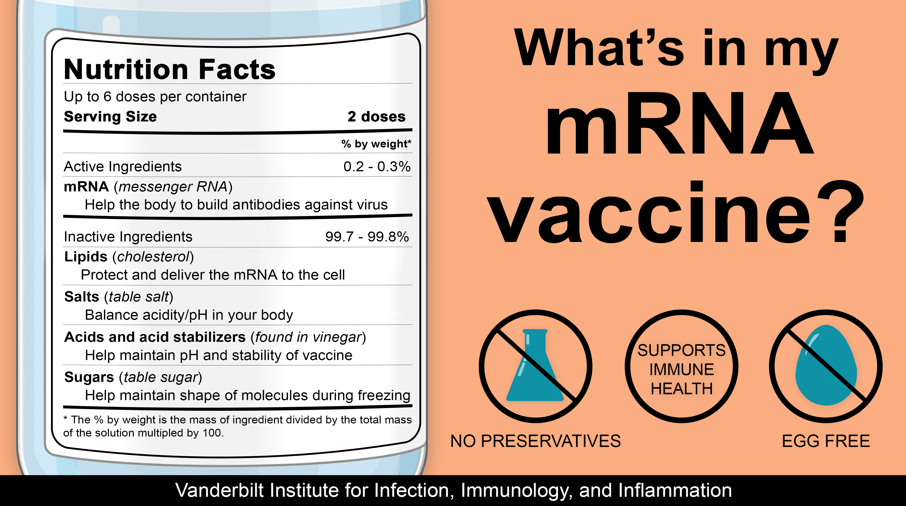 What's in my mRNA vaccine?