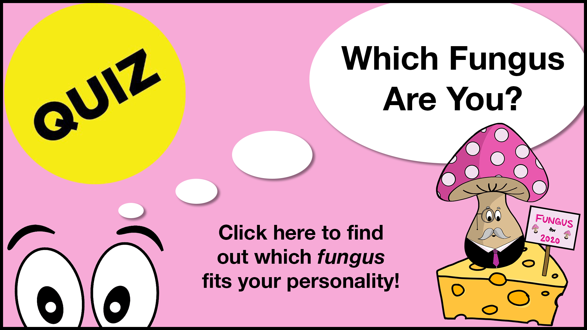 Which Fungus are you?