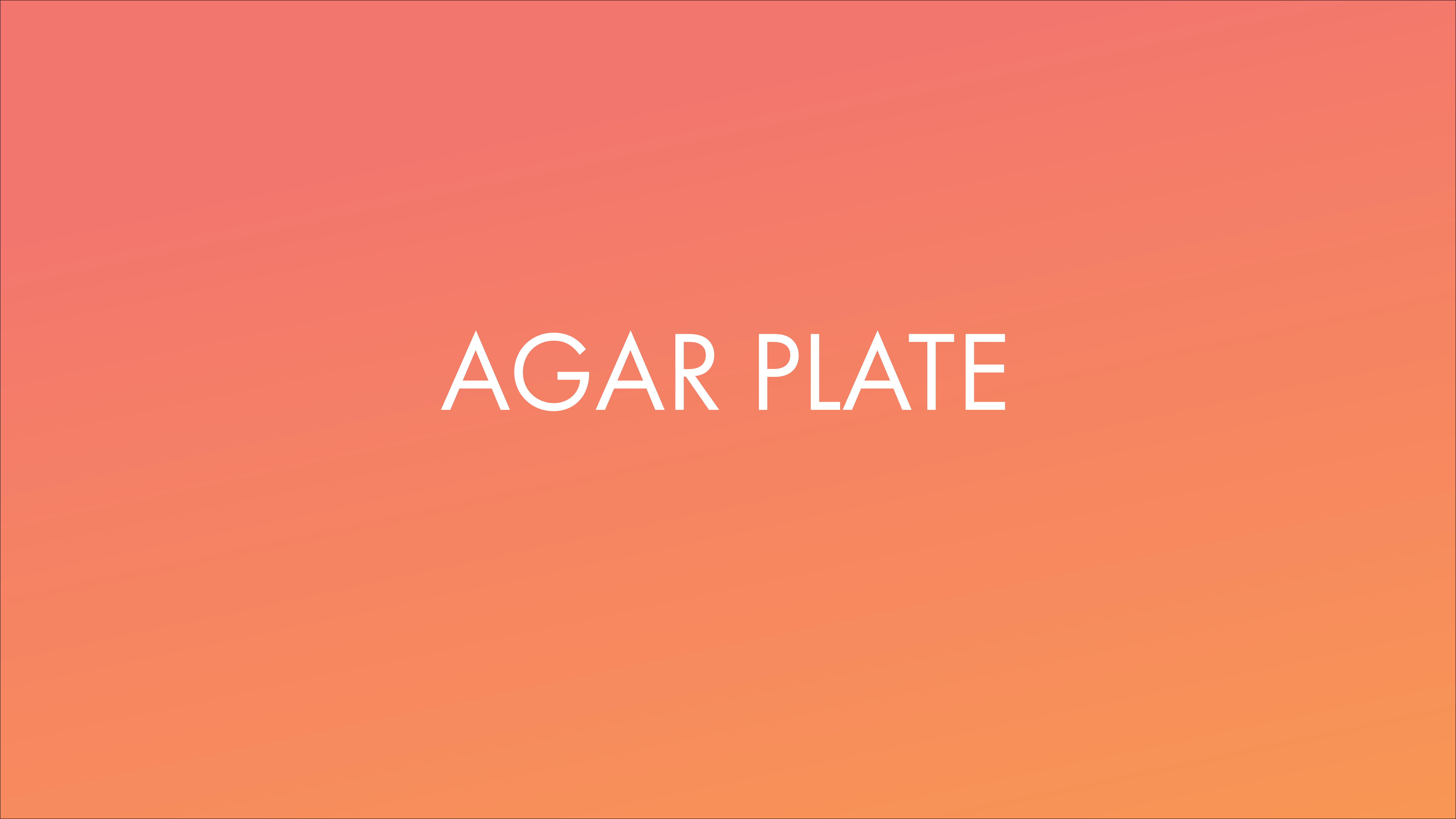 Agar Plate