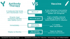 Antibody Therapy vs. Vaccine