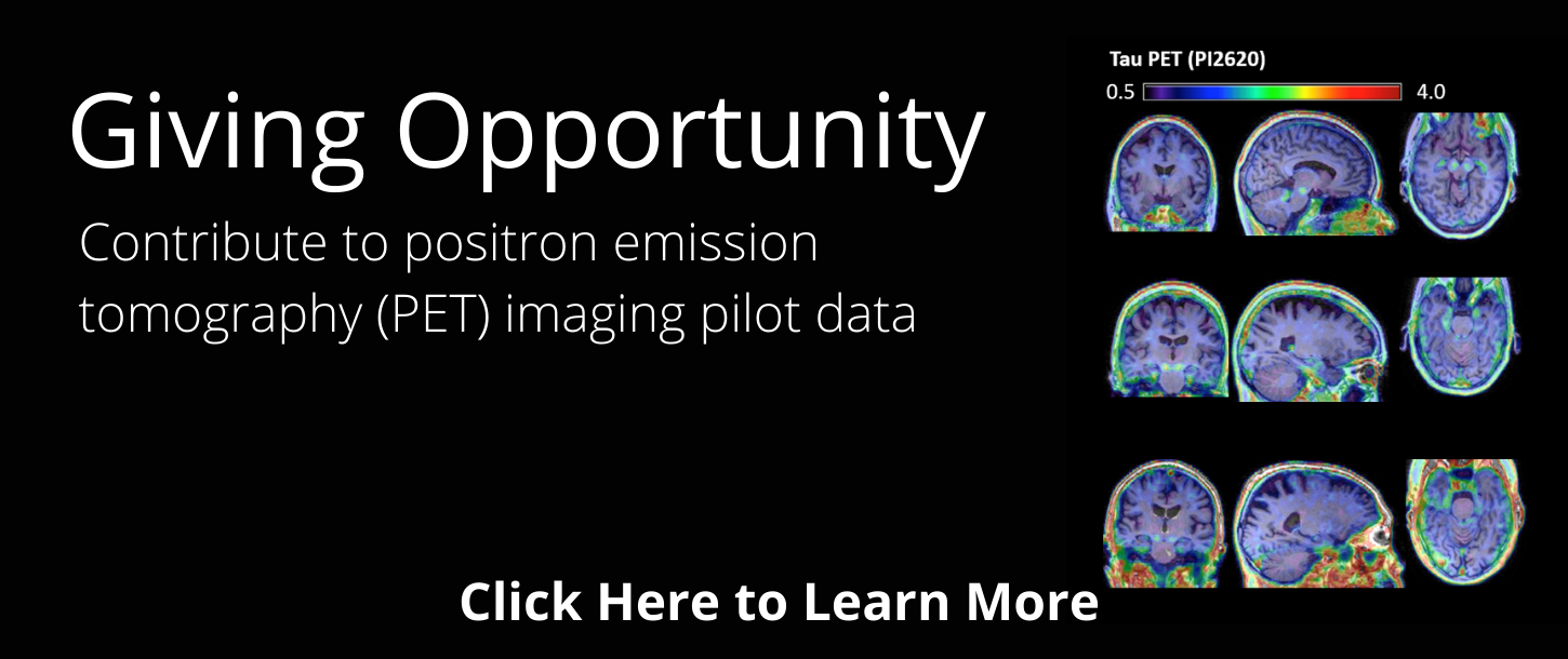 Give to PET imaging pilot data