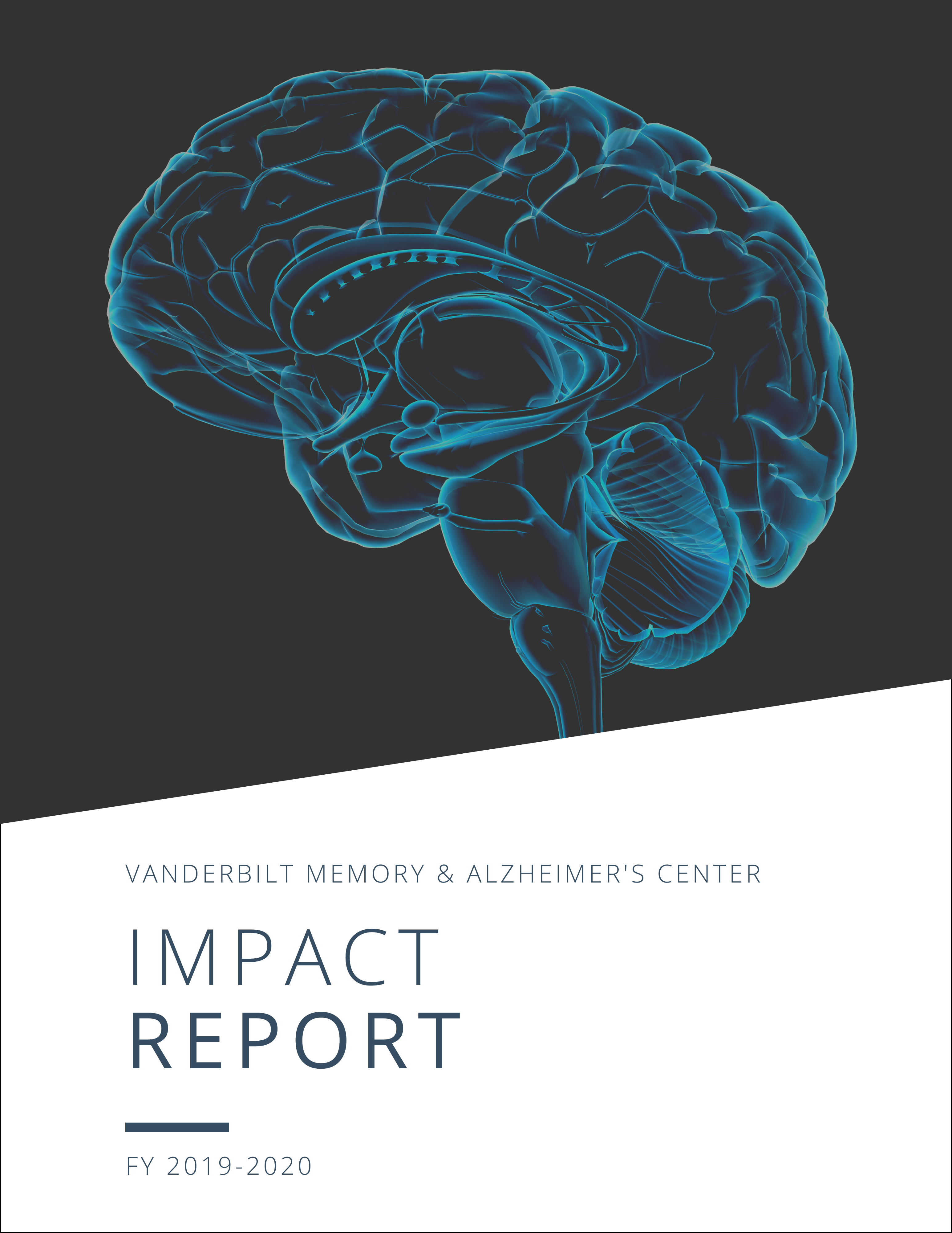 2020 Impact report