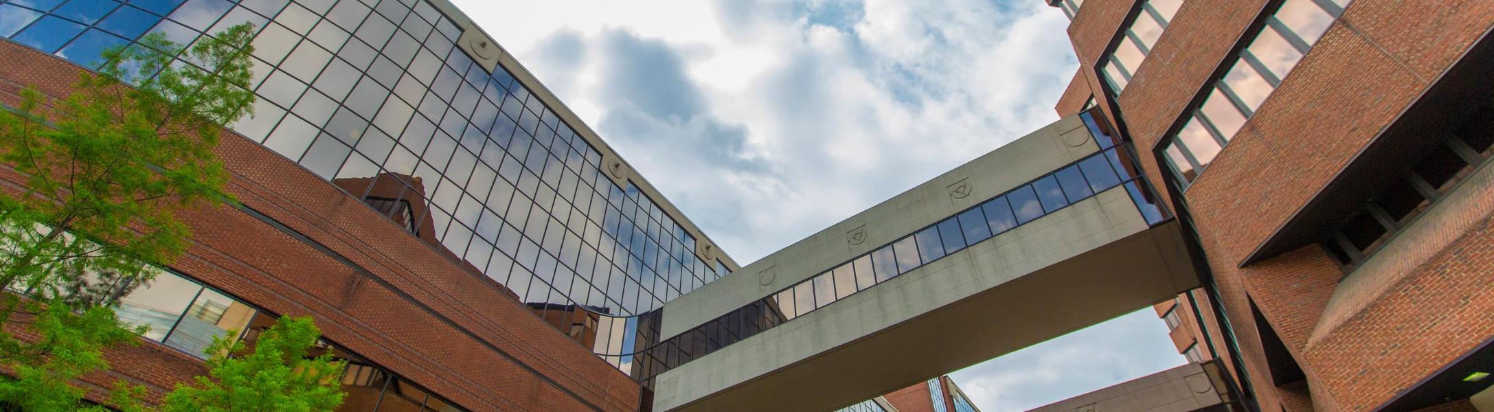 Vanderbilt Alzheimer's Disease Research Center