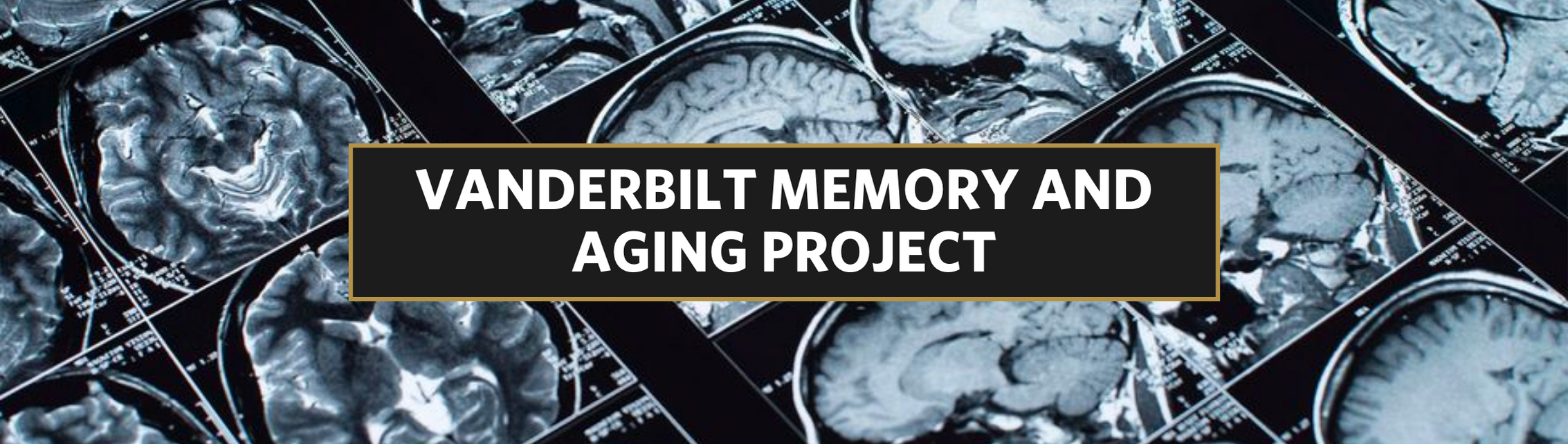 Vanderbilt Memory & Aging Project