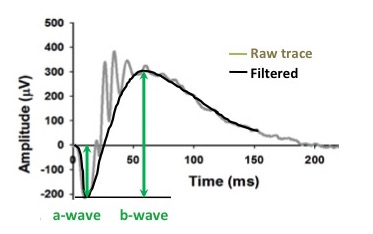 Slide1_3.jpg