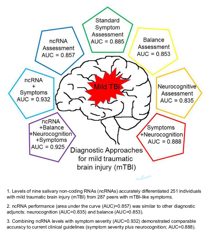 Letter to the Editor: Early seizure prophylaxis in pediatric severe  traumatic brain injury: still a long way to go in: Journal of Neurosurgery:  Pediatrics Volume 19 Issue 3 (2017) Journals