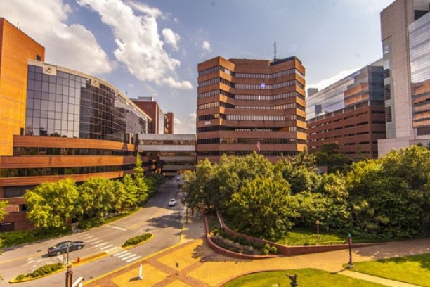 Vanderbilt Medical Center Org Chart