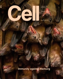 Immunity Against Marburg
